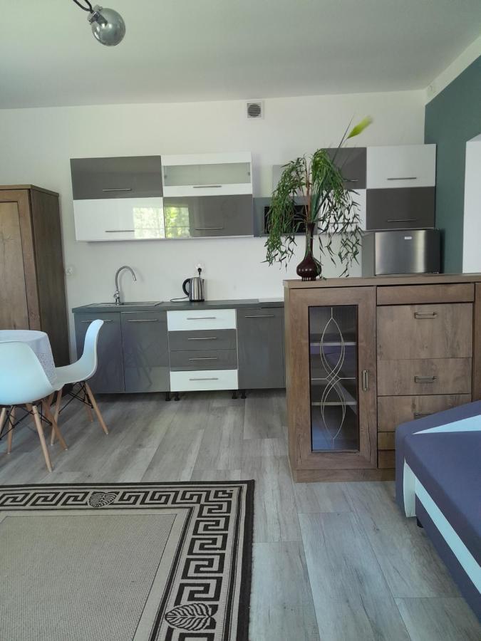 Hotel Gosciniec Zapiecek Stronie Śląskie Esterno foto